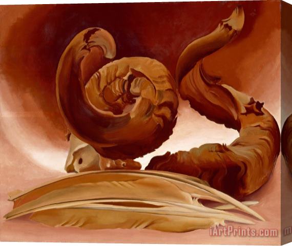 Georgia O'keeffe Horn And Feathers, 1937 Stretched Canvas Painting / Canvas Art