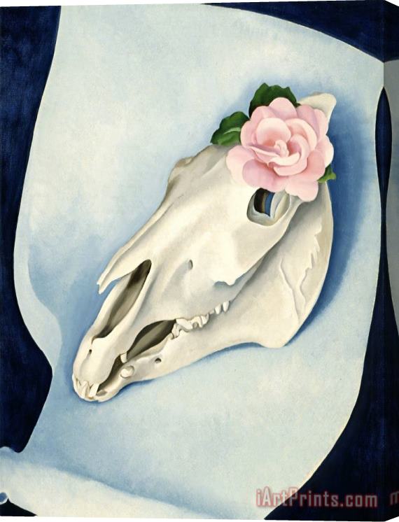 Georgia O'keeffe Horse's Skull with Pink Rose, 1931 Stretched Canvas Print / Canvas Art