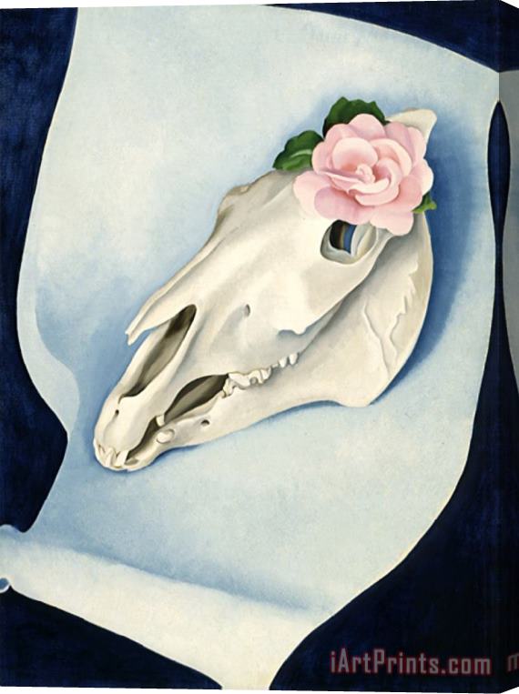 Georgia O'keeffe Horse's Skull with Pink Rose Stretched Canvas Print / Canvas Art