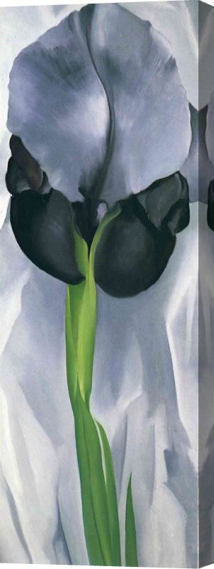 Georgia O'keeffe Iris 7 Stretched Canvas Painting / Canvas Art