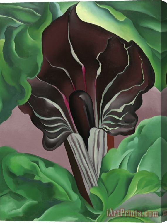 Georgia O'Keeffe Jack in Pulpit No. 2 Stretched Canvas Print / Canvas Art