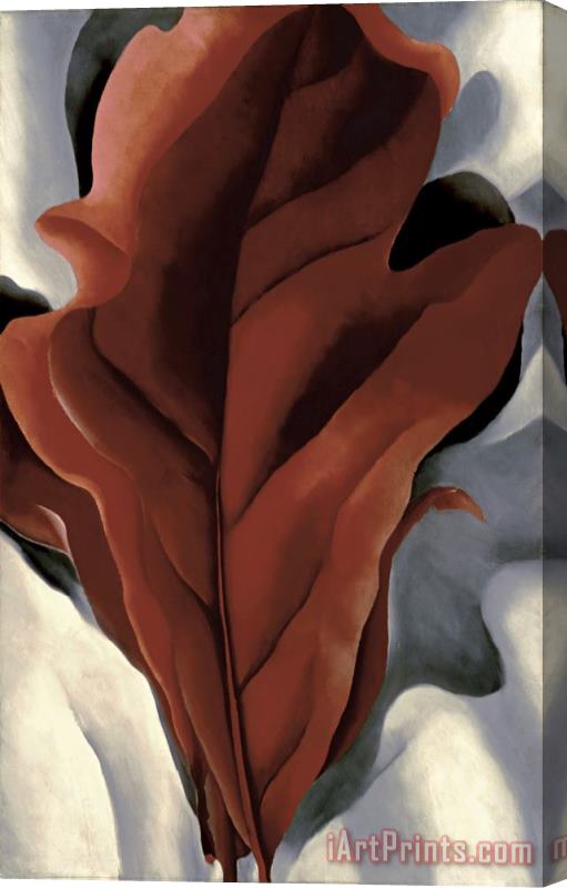 Georgia O'keeffe Large Dark Red Leaves on White Stretched Canvas Painting / Canvas Art