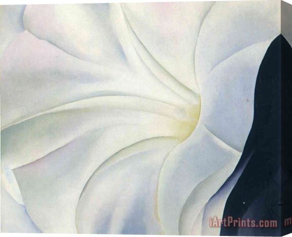 Georgia O'keeffe Morning Glory with Black Stretched Canvas Painting / Canvas Art