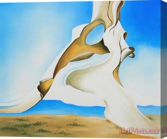 Georgia O'keeffe Pelvis with The Distance 1943 Stretched Canvas Painting / Canvas Art