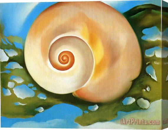 Georgia O'keeffe Pink Shell with Seaweed Stretched Canvas Painting / Canvas Art
