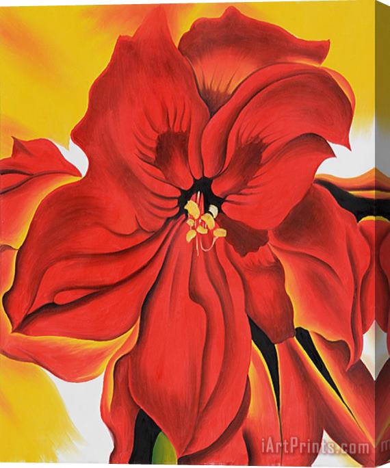 Georgia O'keeffe Red Amaryllis 2 Stretched Canvas Painting / Canvas Art