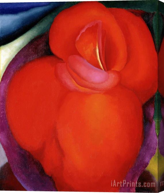 Georgia O'keeffe Red Flower, 1919 Stretched Canvas Painting / Canvas Art