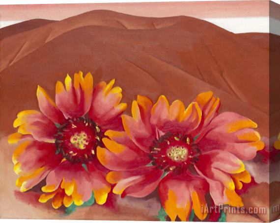 Georgia O'keeffe Red Hills with Flowers, 1937 Stretched Canvas Print / Canvas Art
