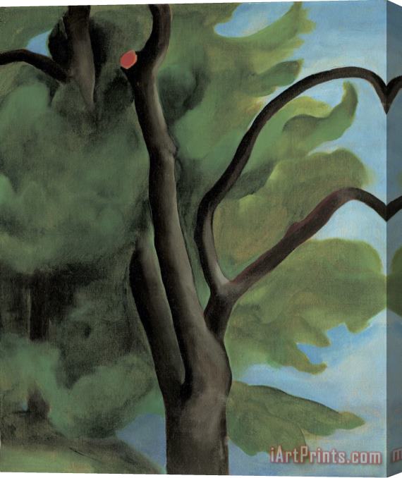 Georgia O'Keeffe Tree with Cut Limb Stretched Canvas Painting / Canvas Art