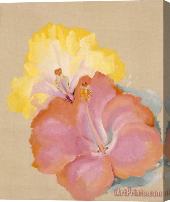 Georgia O'keeffe Untitled (hibiscus), 1939 Stretched Canvas Print / Canvas Art