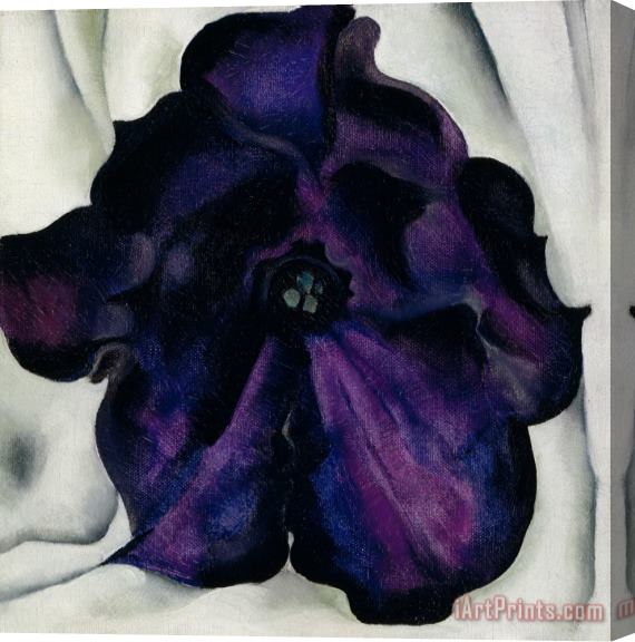 Georgia O'keeffe Untitled (purple Petunia), 1925 Stretched Canvas Print / Canvas Art