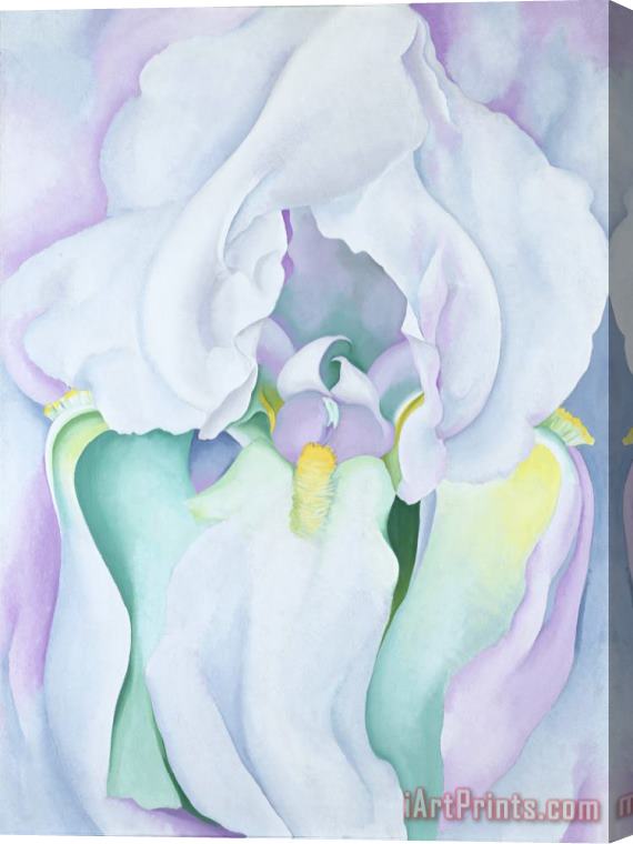 Georgia O'Keeffe White Iris Stretched Canvas Print / Canvas Art