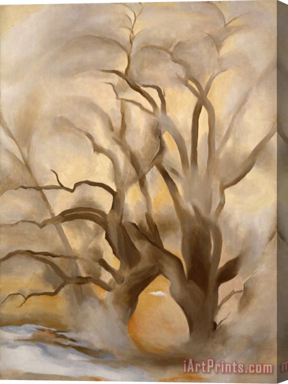 Georgia O'keeffe Winter Cottonwoods East Iv, 1954 Stretched Canvas Print / Canvas Art