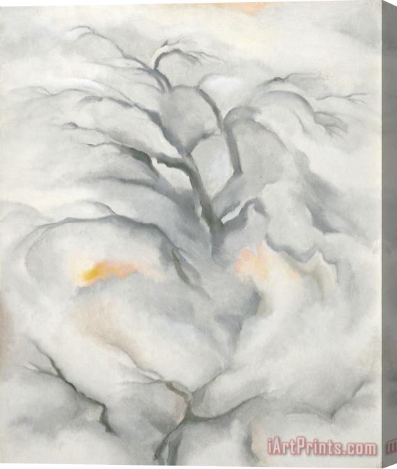 Georgia O'keeffe Winter Trees, Abiquiu I, 1950 Stretched Canvas Print / Canvas Art