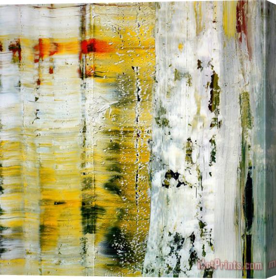 Gerhard Richter Cage F.ff. Stretched Canvas Print / Canvas Art