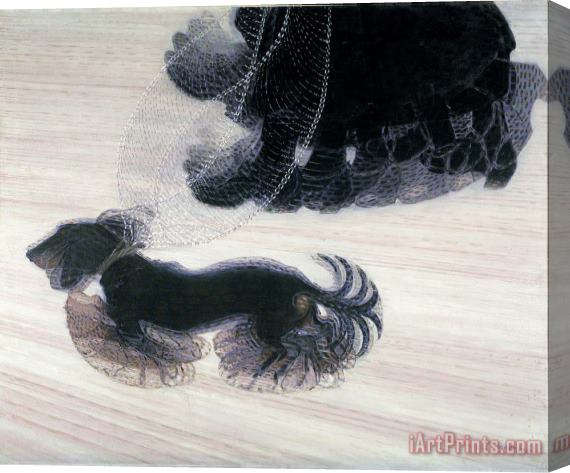 Giacomo Balla Dinamismo Di Un Cane Al Guinzaglio (dynamism of a Dog on a Leash) Stretched Canvas Print / Canvas Art