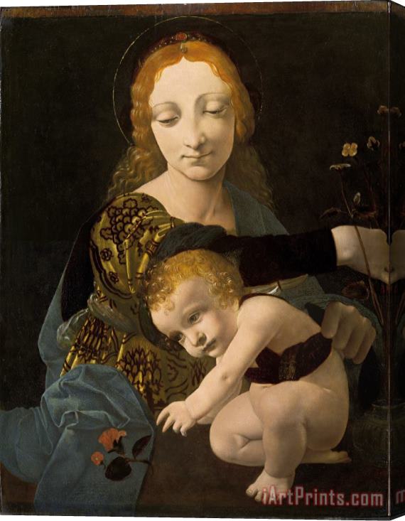 Giovanni Antonio Boltraffio The Virgin And Child (the Madonna of The Rose) Stretched Canvas Painting / Canvas Art