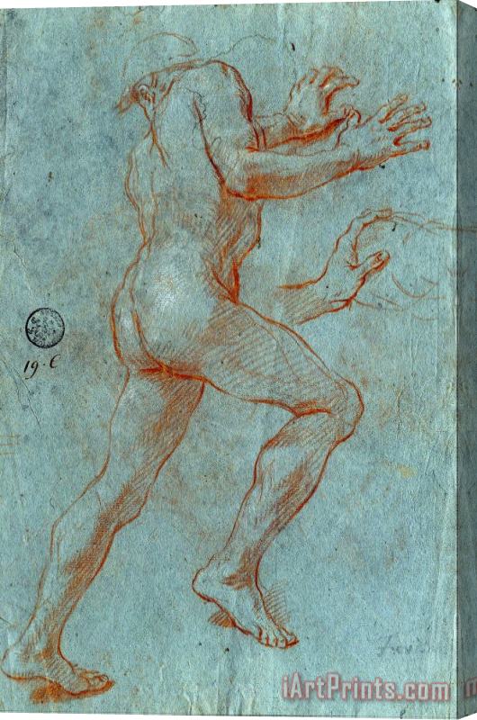 Giovanni Antonio Grecolini Study of a Male Nude Stretched Canvas Print / Canvas Art