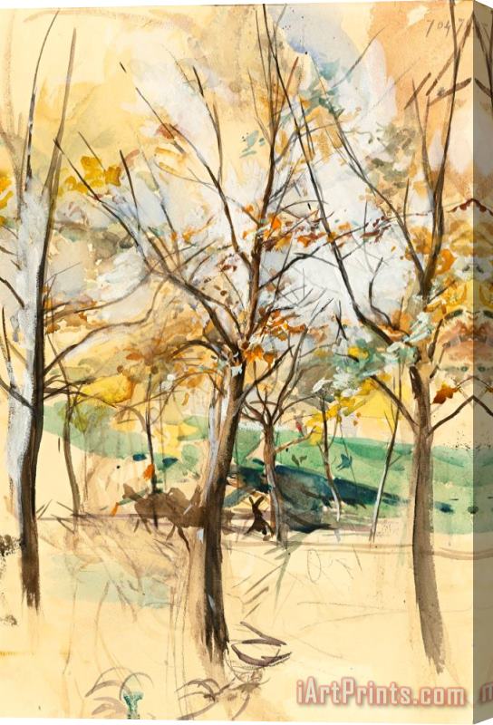 Giovanni Boldini Trees in The Bois De Boulogne Stretched Canvas Print / Canvas Art