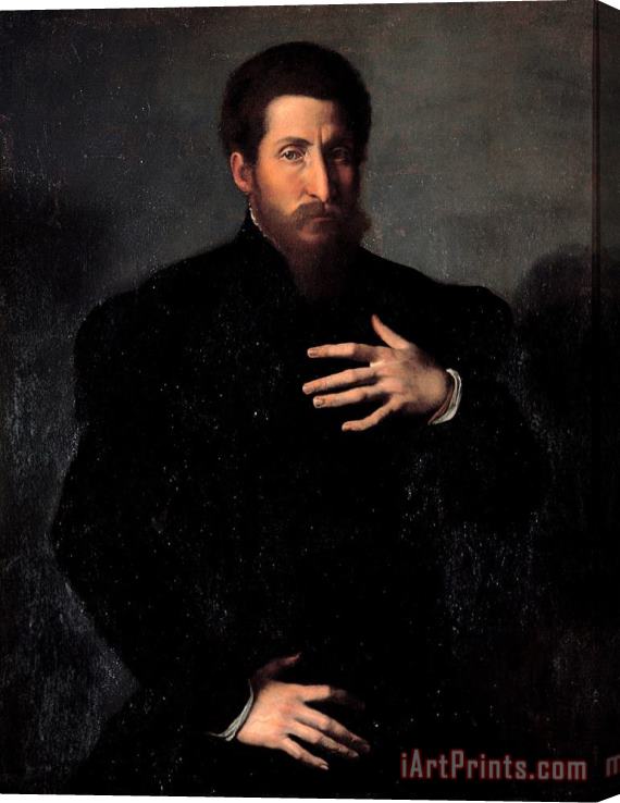 Girolamo da Carpi Portrait of a Virile Man Stretched Canvas Print / Canvas Art