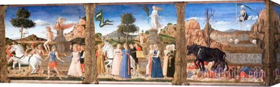Girolamo da Cremona The Triumphs of Petrarch Stretched Canvas Print / Canvas Art
