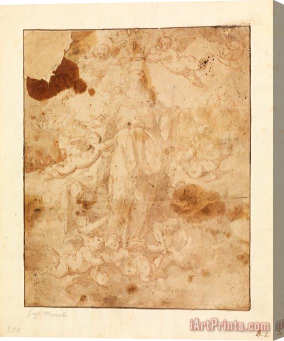 Giuseppe Marullo Study for The Ascension of The Virgin Stretched Canvas Print / Canvas Art
