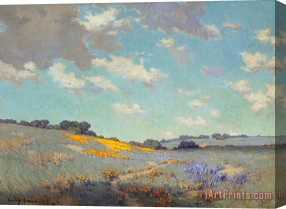 Granville Seymour Redmond Patch of Poppies Stretched Canvas Print / Canvas Art