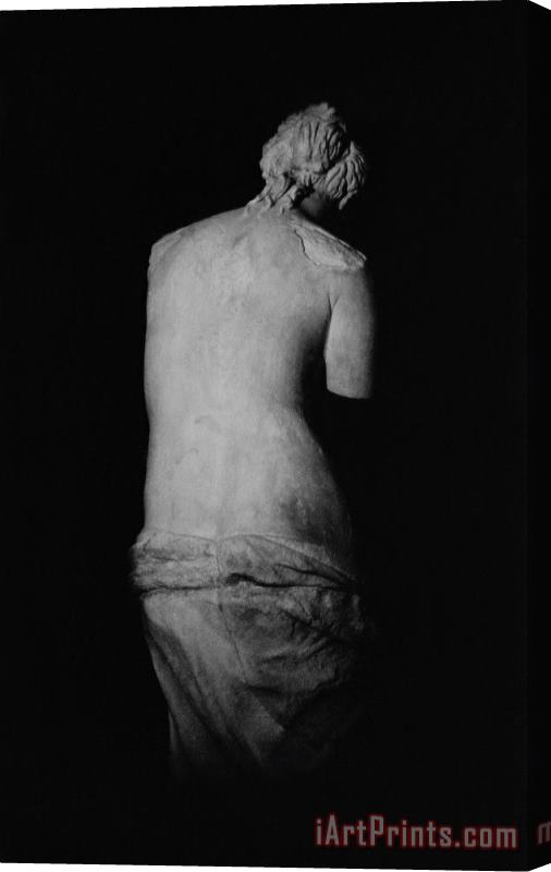 Greek School Venus de Milo Stretched Canvas Print / Canvas Art