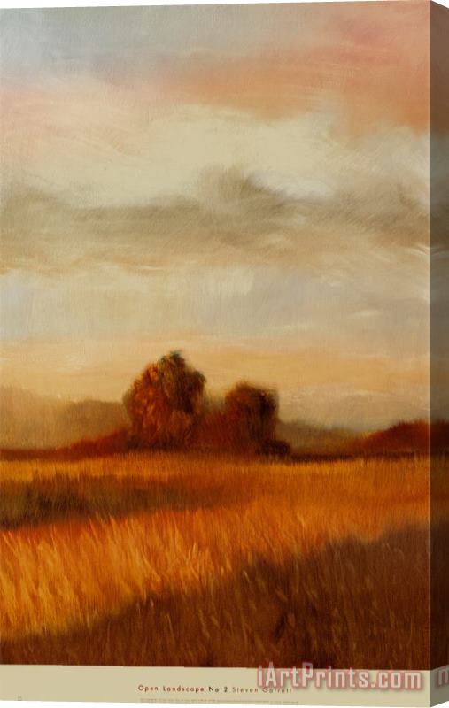 Gregory Garrett Open Landscape II Stretched Canvas Print / Canvas Art