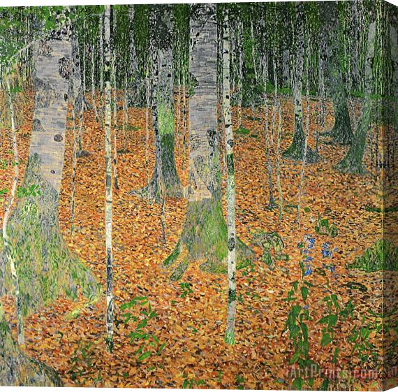 Gustav Klimt The Birch Wood Stretched Canvas Painting / Canvas Art