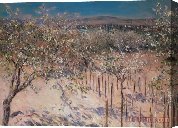 Gustave Caillebotte Orchard with Flowering Apple Trees Stretched Canvas Print / Canvas Art