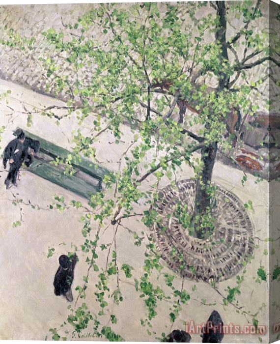 Gustave Caillebotte The Boulevard Viewed From Above Stretched Canvas Print / Canvas Art