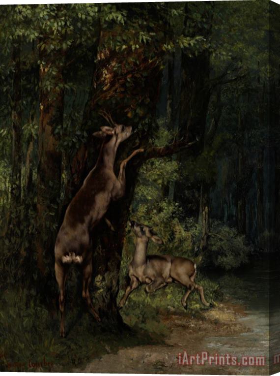 Gustave Courbet Deer In The Forest Stretched Canvas Print / Canvas Art