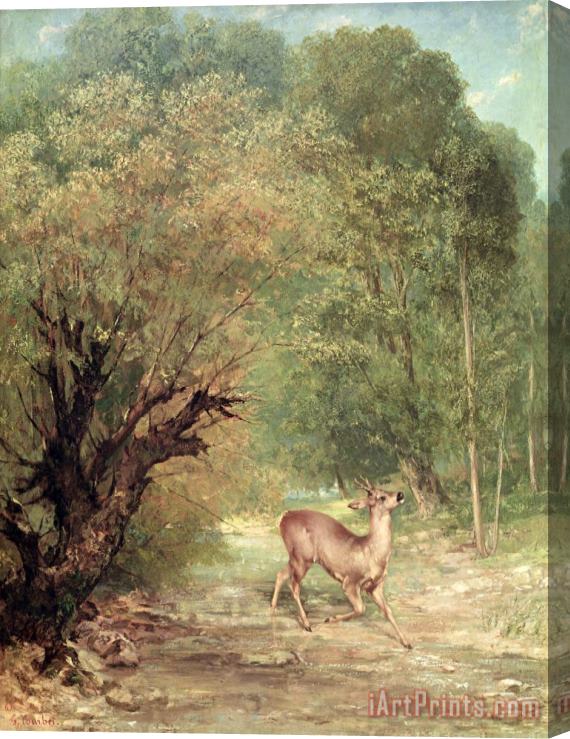 Gustave Courbet The Hunted Roe Deer on The Alert, Spring Stretched Canvas Print / Canvas Art
