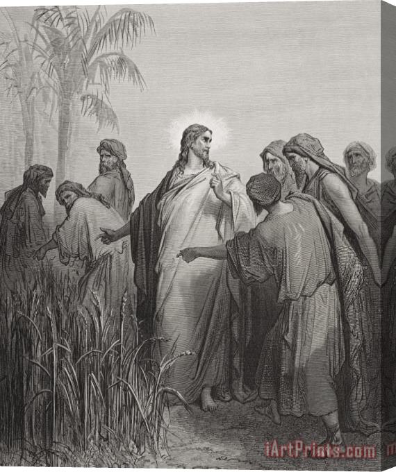 Gustave Dore Jesus And His Disciples In The Corn Field Stretched Canvas Print / Canvas Art