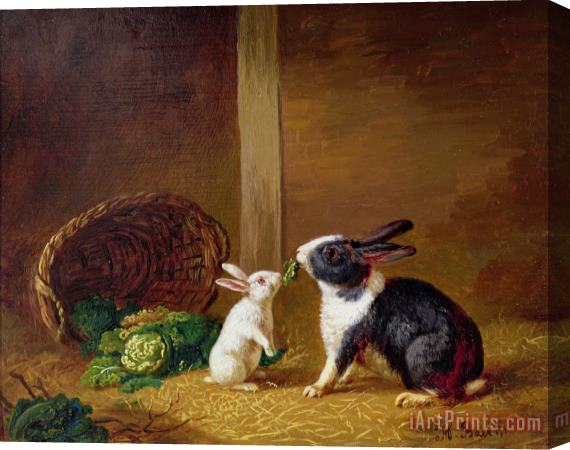 H Baert  Two Rabbits Stretched Canvas Painting / Canvas Art