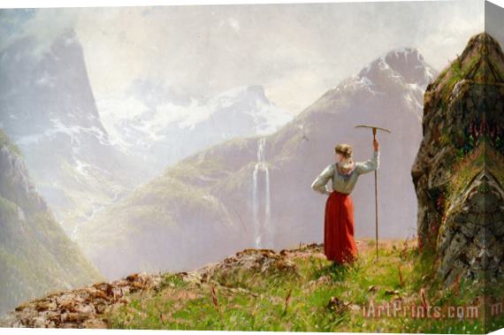 Hans Dahl Admiring The View Stretched Canvas Print / Canvas Art