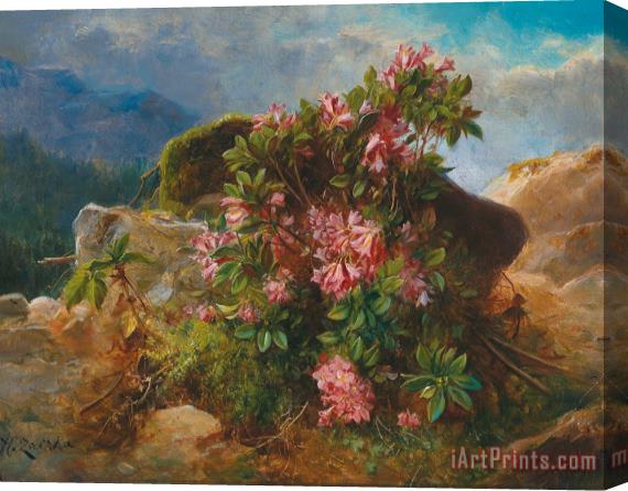 Hans Zatzka Alpine Flowers Stretched Canvas Painting / Canvas Art
