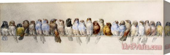 Hector Giacomelli A Perch of Birds Stretched Canvas Print / Canvas Art