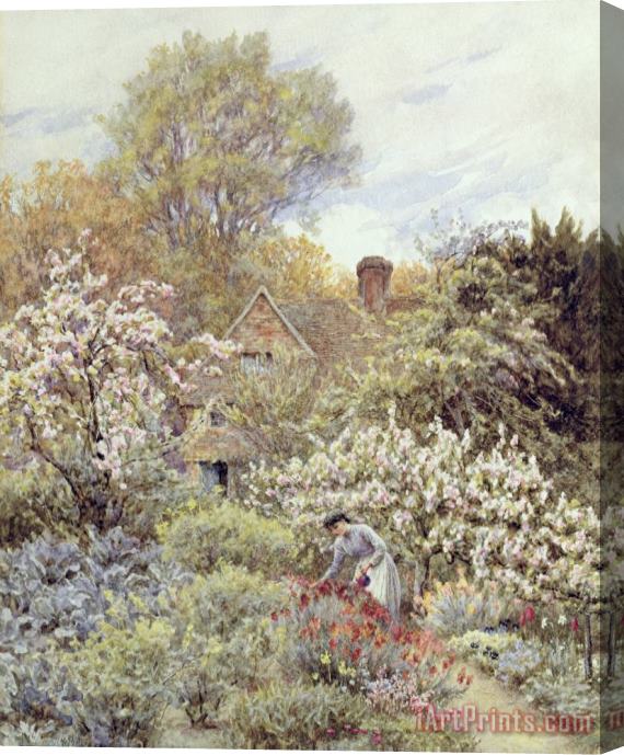 Helen Allingham A Garden in Spring Stretched Canvas Print / Canvas Art