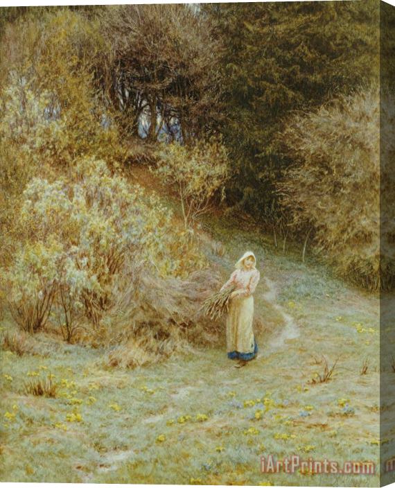 Helen Allingham In the Primrose Wood Stretched Canvas Painting / Canvas Art