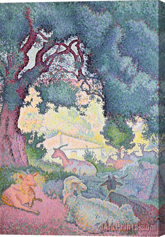 Henri-Edmond Cross Landscape with Goats Stretched Canvas Painting / Canvas Art