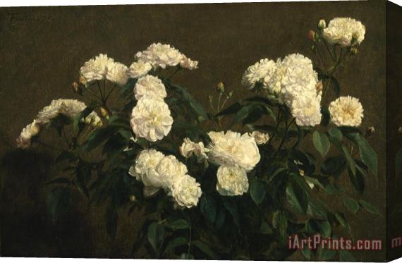 Henri Fantin Latour Still Life of White Roses Stretched Canvas Print / Canvas Art
