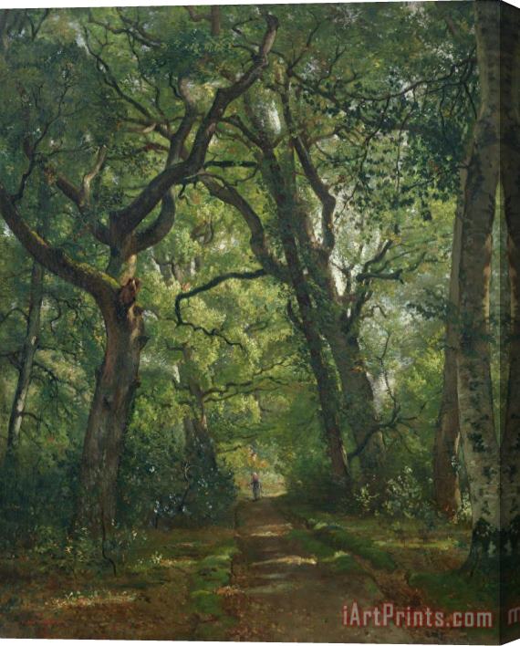Henri Joseph Constant Dutilleux Path in the Forest Stretched Canvas Painting / Canvas Art