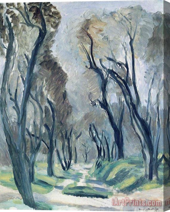 Henri Matisse Avenue of Olive Trees 1952 Stretched Canvas Painting / Canvas Art