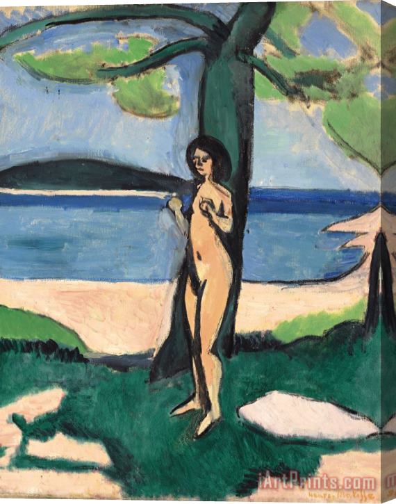 Henri Matisse Nu Au Bord De La Mer Stretched Canvas Print / Canvas Art