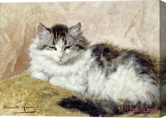 Henriette Ronner A Cat Stretched Canvas Painting / Canvas Art