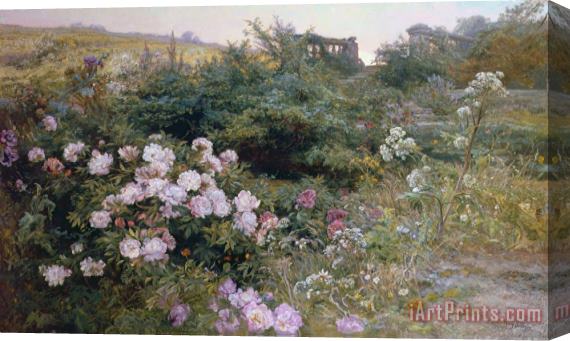 Henry Arthur Bonnefoy In Full Bloom Stretched Canvas Print / Canvas Art