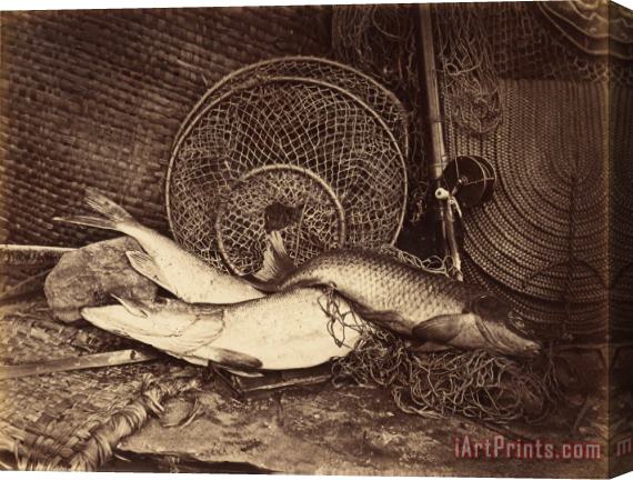Henry Bailey Still Life with Carp And Pike Stretched Canvas Print / Canvas Art