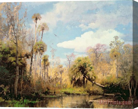 Herman Herzog Florida Palms Stretched Canvas Painting / Canvas Art